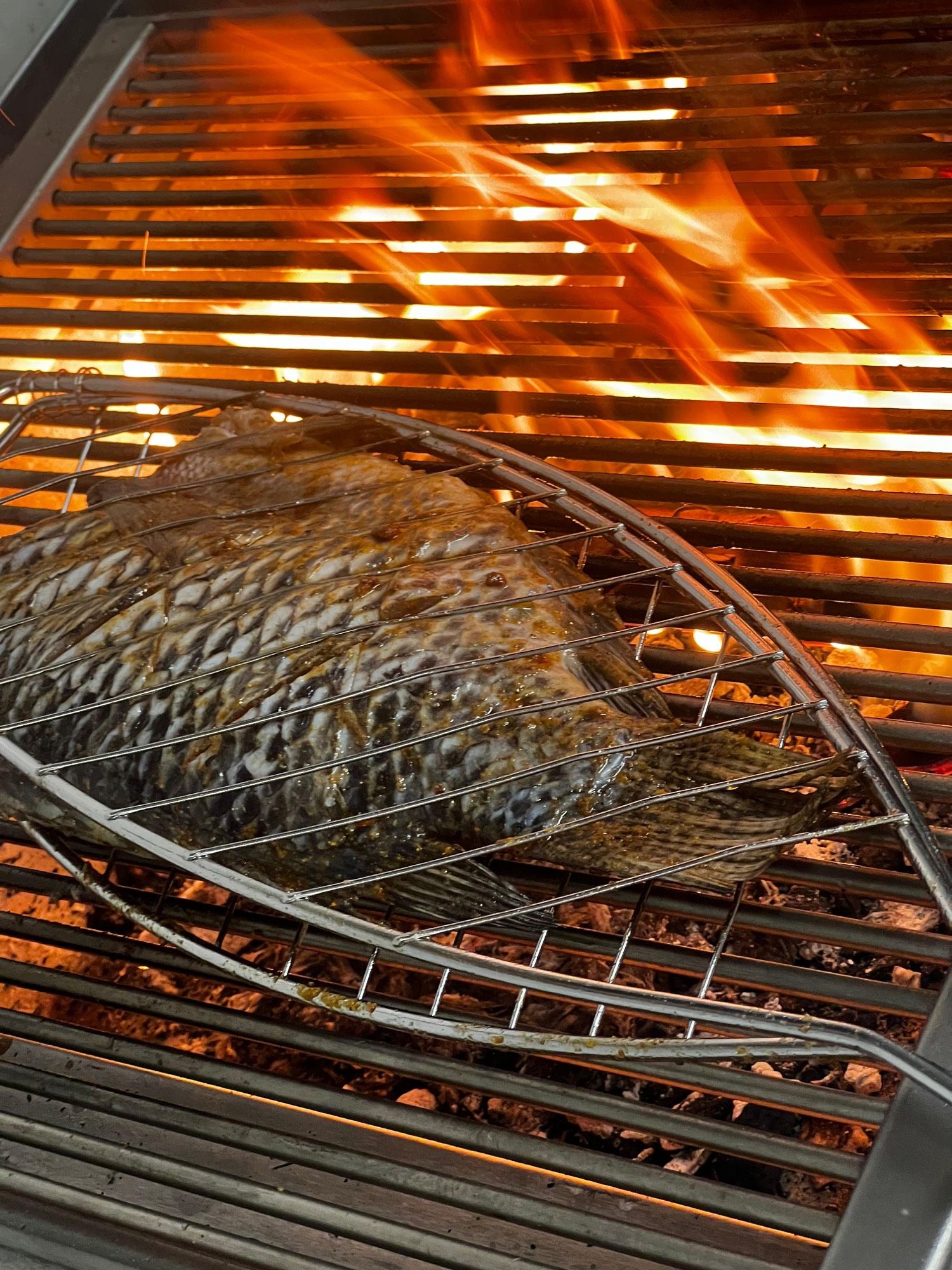 Tilapia entier dans sa grille, au-dessus des braises